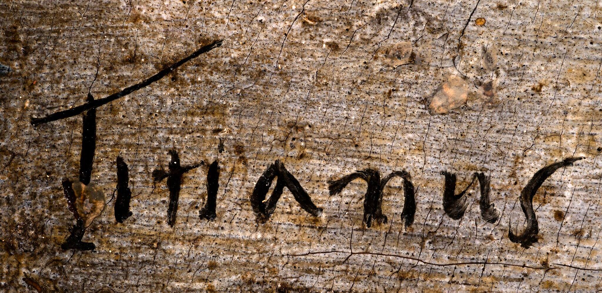 Gigapixel de "La Pala Gozzi" di Tiziano. Pinacoteca di Ancona